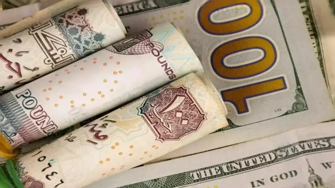 تقلبات العملة الخضراء.. تباين أسعار الدولار في البنوك المصرية بين 46.96 و46.72 جنيهًا